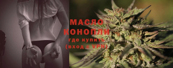 apvp Медногорск