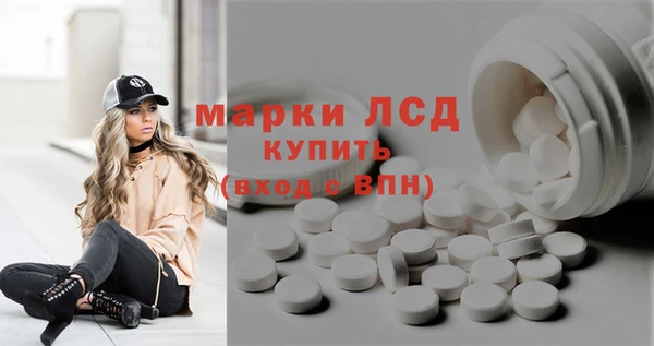 прущие грибы Мегион