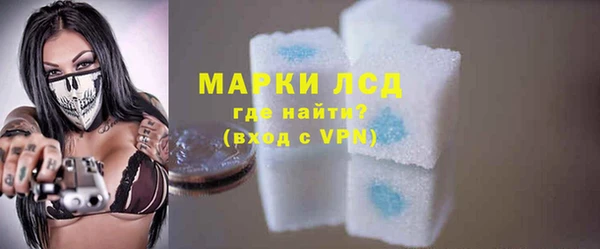 прущие грибы Мегион