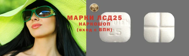 spice Медвежьегорск