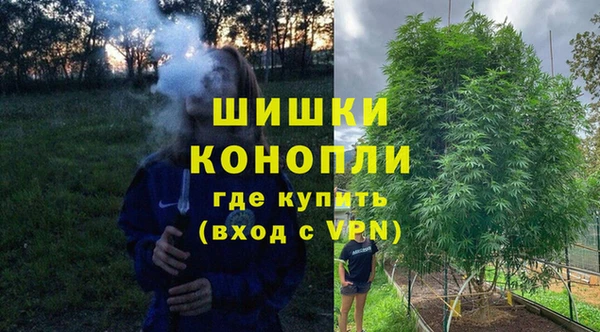 spice Медвежьегорск