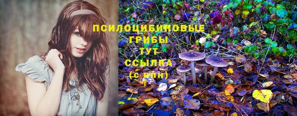 apvp Медногорск