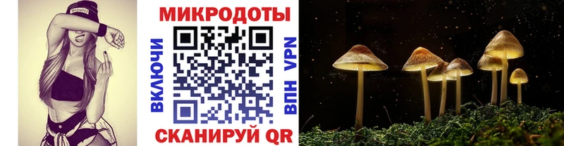 Купить  Нариманов  Псилоцибиновые грибы Magic Shrooms 